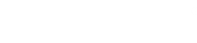 Jaguar Trips