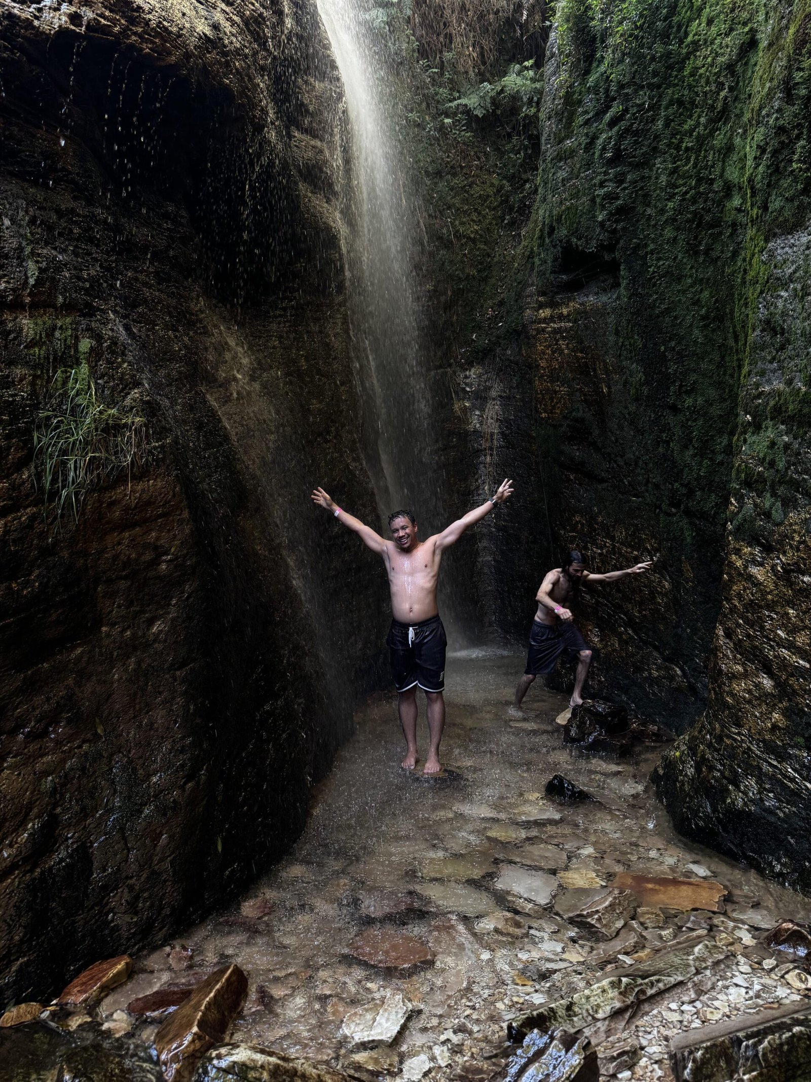 Trilha e natureza em experiência da Jaguar Trips